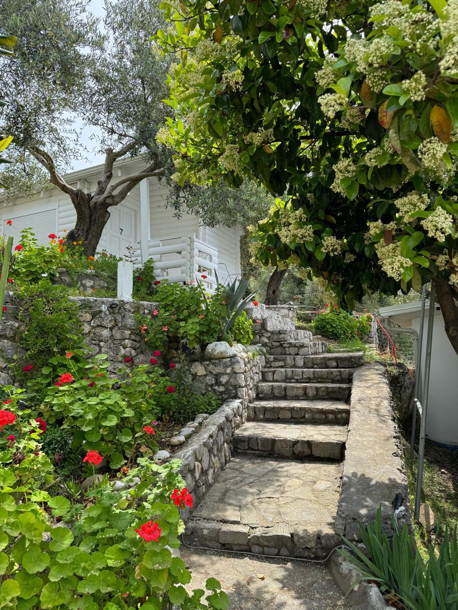 Alevra Hotel Dhermi Bagian luar foto
