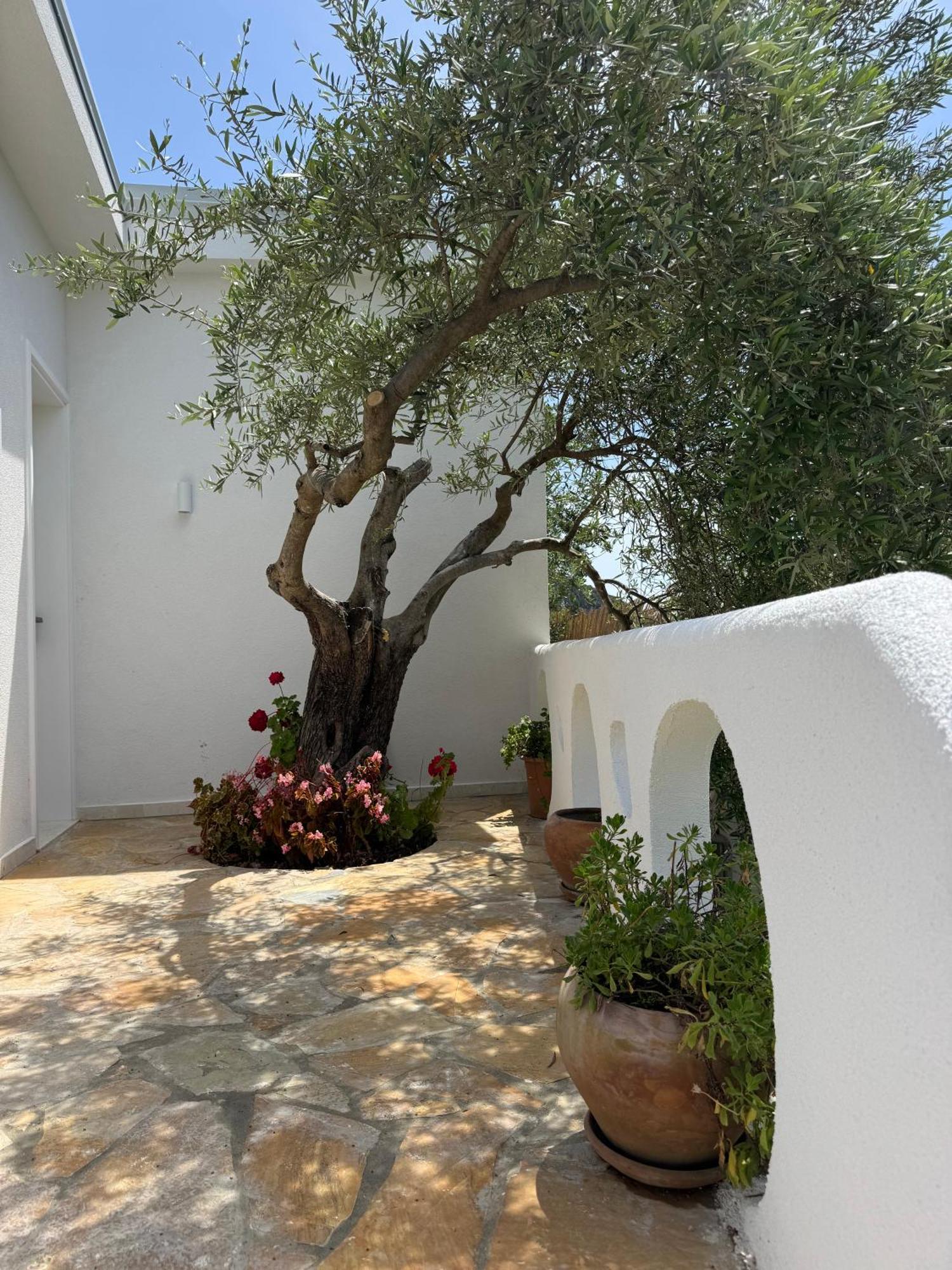 Alevra Hotel Dhermi Bagian luar foto